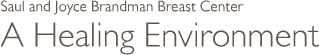 Saul and Joyce Brandman Breast Center: A Healing Environment