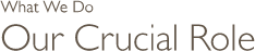 Our Programs: Our Crucial Role