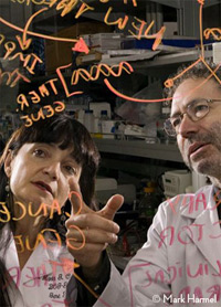 Maria Castro, PhD, and Pedro Lowenstein, MD, PhD
