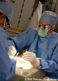 Nicholas Nissen, MD