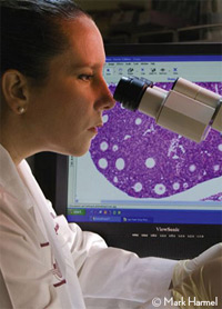 Margareta D. Pisarska, MD