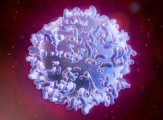 Autoimmunity