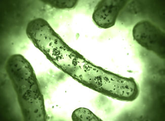 Bacterial Overgrowth